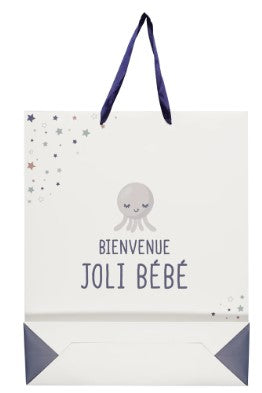 Sac cadeau naissance 27x8x32 2-fois assorti
