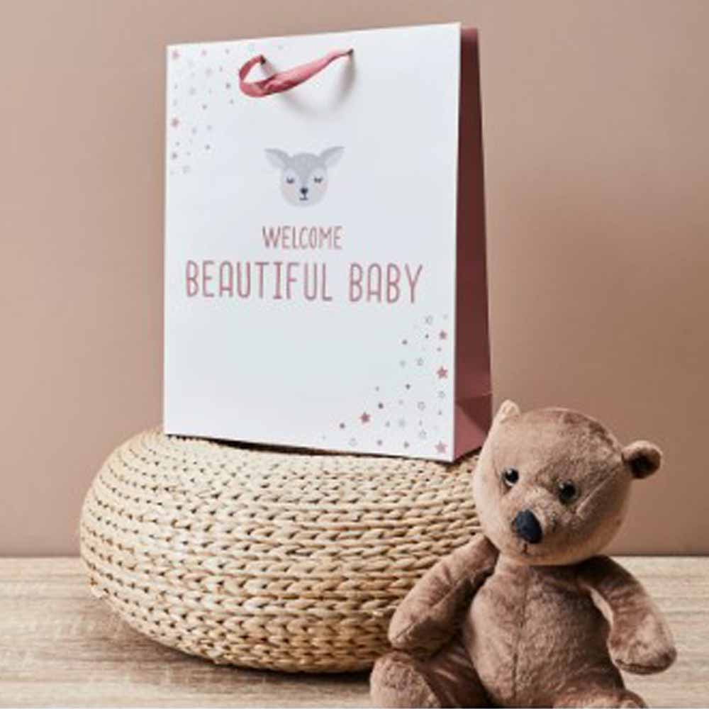 Sac cadeau naissance 27x8x32 2-fois assorti