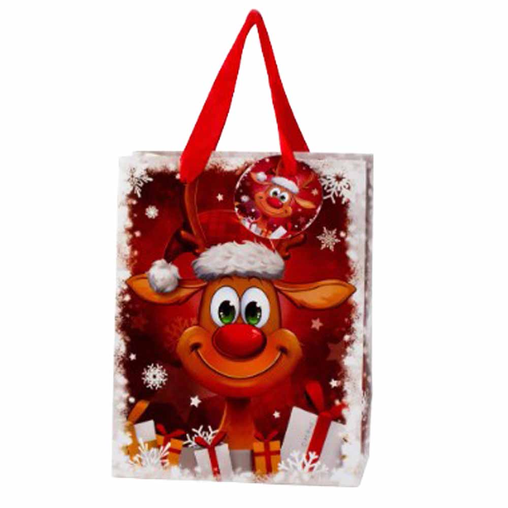 Sac cadeau de Noel " renne rigolo"